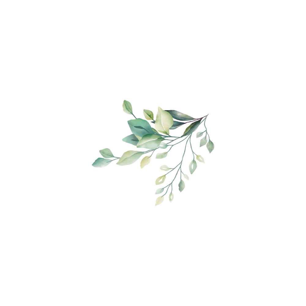 背景イメージ